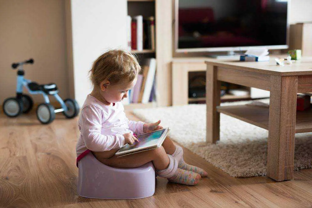 How do you potty train a child with developmental delays?